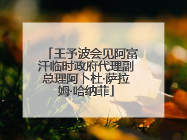王予波会见阿富汗临时政府代理副总理阿卜杜·萨拉姆·哈纳菲