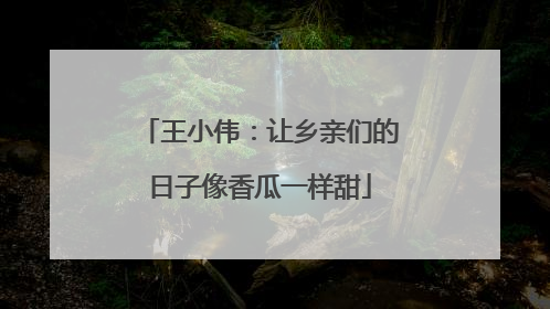王小伟：让乡亲们的日子像香瓜一样甜