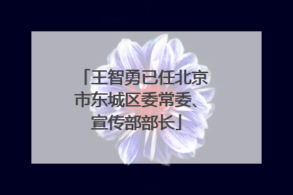 王智勇已任北京市东城区委常委、宣传部部长