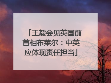 王毅会见英国前首相布莱尔：中英应体现责任担当