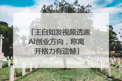 王自如发视频透露AI创业方向，称离开格力有遗憾