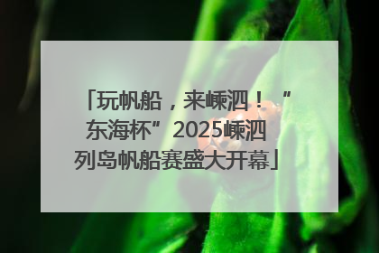 玩帆船，来嵊泗！“东海杯”2025嵊泗列岛帆船赛盛大开幕