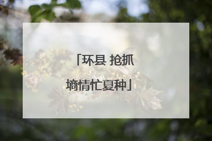 环县 抢抓墒情忙夏种