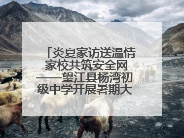炎夏家访送温情 家校共筑安全网——望江县杨湾初级中学开展暑期大家访活动