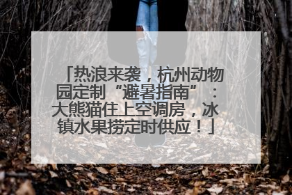 热浪来袭，杭州动物园定制“避暑指南”：大熊猫住上空调房，冰镇水果捞定时供应！