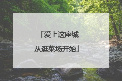 爱上这座城 从逛菜场开始