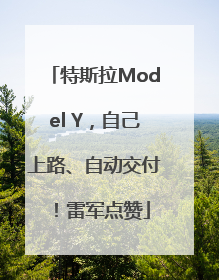 特斯拉Model Y，自己上路、自动交付！雷军点赞