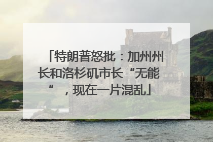 特朗普怒批：加州州长和洛杉矶市长“无能”，现在一片混乱
