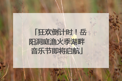 狂欢倒计时！岳阳洞庭渔火季湖畔音乐节即将启航