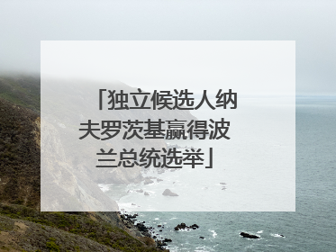 独立候选人纳夫罗茨基赢得波兰总统选举
