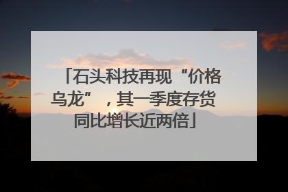 石头科技再现“价格乌龙”，其一季度存货同比增长近两倍