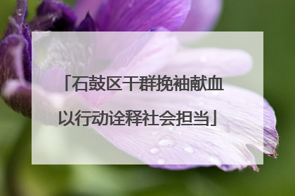 石鼓区干群挽袖献血 以行动诠释社会担当
