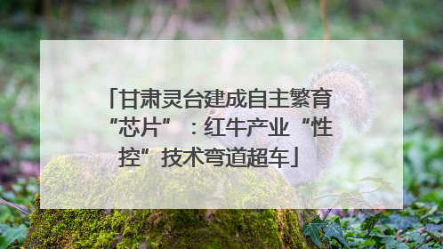 甘肃灵台建成自主繁育“芯片”：红牛产业“性控”技术弯道超车
