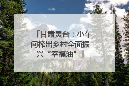 甘肃灵台：小车间榨出乡村全面振兴“幸福油”
