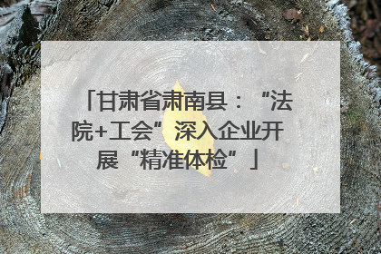 甘肃省肃南县：“法院+工会”深入企业开展“精准体检”