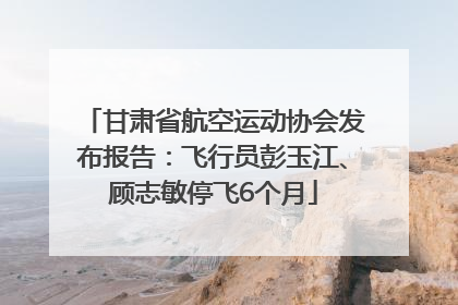 甘肃省航空运动协会发布报告：飞行员彭玉江、顾志敏停飞6个月