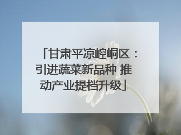 甘肃平凉崆峒区：引进蔬菜新品种 推动产业提档升级