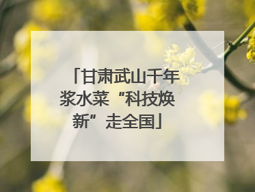 甘肃武山千年浆水菜“科技焕新”走全国