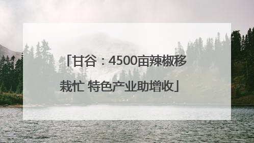 甘谷：4500亩辣椒移栽忙 特色产业助增收