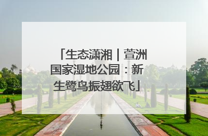 生态潇湘｜萱洲国家湿地公园：新生鹭鸟振翅欲飞