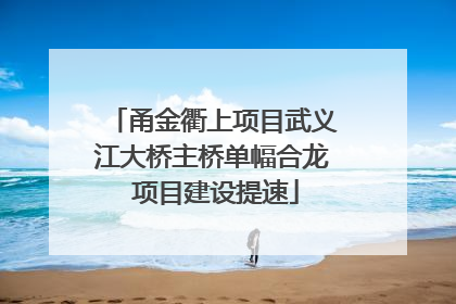 甬金衢上项目武义江大桥主桥单幅合龙 项目建设提速