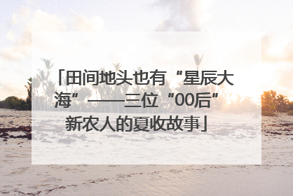 田间地头也有“星辰大海”——三位“00后”新农人的夏收故事
