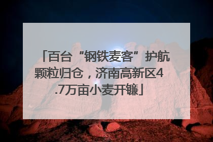 百台“钢铁麦客”护航颗粒归仓，济南高新区4.7万亩小麦开镰
