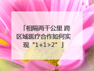 相隔两千公里 跨区域医疗合作如何实现“1+1>2”