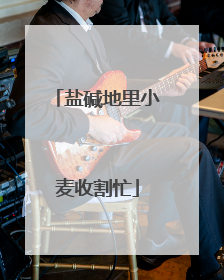 盐碱地里小麦收割忙