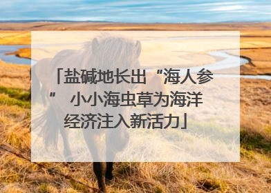 盐碱地长出“海人参” 小小海虫草为海洋经济注入新活力