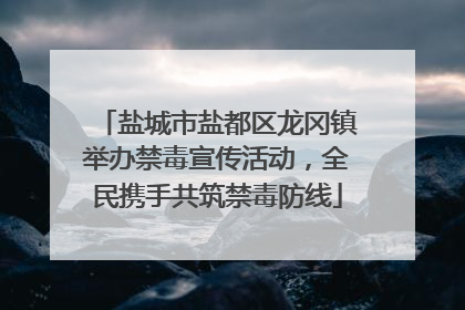 盐城市盐都区龙冈镇举办禁毒宣传活动，全民携手共筑禁毒防线