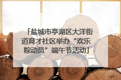 盐城市亭湖区大洋街道育才社区举办“欢乐粽动员”端午节活动