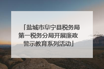 盐城市阜宁县税务局第一税务分局开展廉政警示教育系列活动