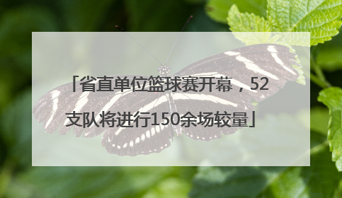 省直单位篮球赛开幕，52支队将进行150余场较量