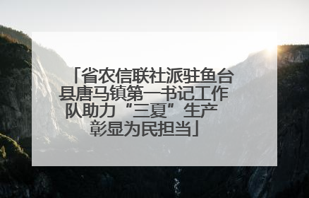 省农信联社派驻鱼台县唐马镇第一书记工作队助力“三夏”生产 彰显为民担当