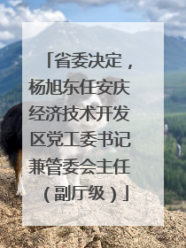 省委决定，杨旭东任安庆经济技术开发区党工委书记兼管委会主任（副厅级）