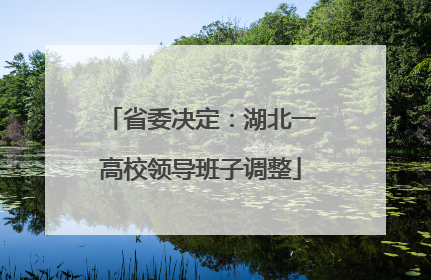 省委决定：湖北一高校领导班子调整