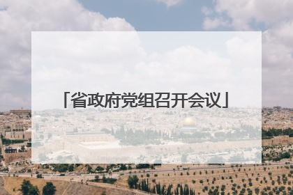 省政府党组召开会议
