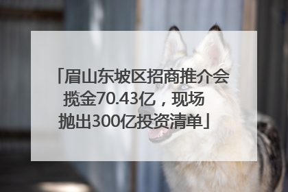 眉山东坡区招商推介会揽金70.43亿，现场抛出300亿投资清单