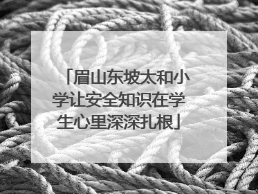 眉山东坡太和小学让安全知识在学生心里深深扎根
