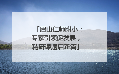 眉山仁师附小：专家引领促发展，精研课题启新篇