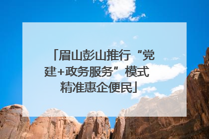 眉山彭山推行“党建+政务服务”模式 精准惠企便民
