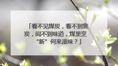 看不见煤炭，看不到焦炭，闻不到味道，煤里烹“新”何来滋味？