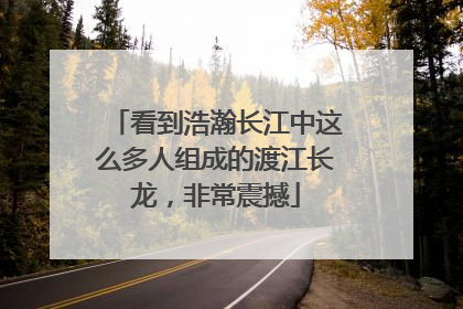 看到浩瀚长江中这么多人组成的渡江长龙，非常震撼