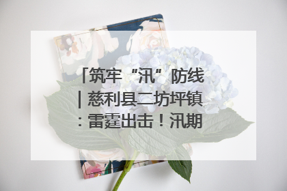 筑牢“汛”防线｜慈利县二坊坪镇：雷霆出击！汛期捕鱼被紧急叫停