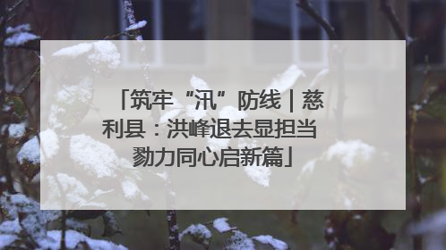 筑牢“汛”防线｜慈利县：洪峰退去显担当 勠力同心启新篇
