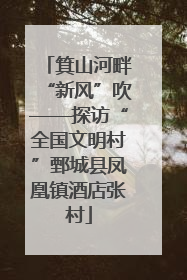 箕山河畔“新风”吹——探访“全国文明村”鄄城县凤凰镇酒店张村