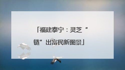 福建泰宁：灵芝“链”出富民新图景