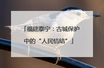 福建泰宁：古城保护中的“人民情结”