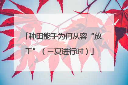 种田能手为何从容“放手”（三夏进行时）